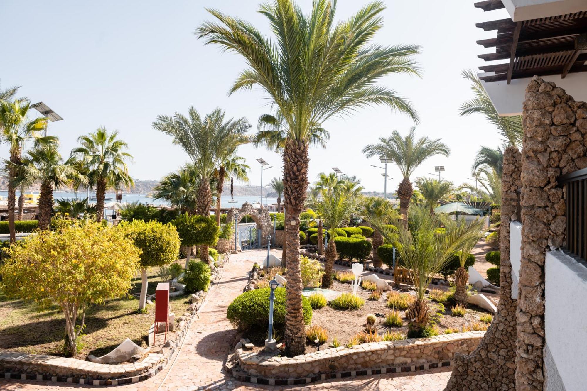 Turquoise Beach Hotel Şarm El-Şeyh Dış mekan fotoğraf